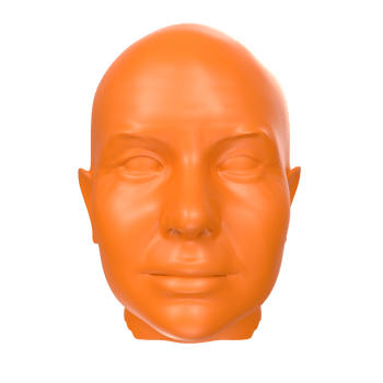 3D Rendering Of Human Bust png