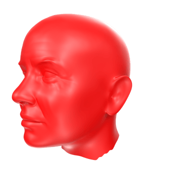 3D Rendering Of Human Bust png