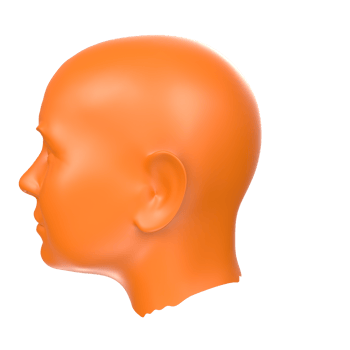 3D Rendering Of Human Bust png