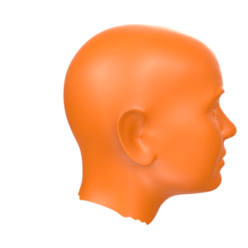 3D Rendering Of Human Bust png