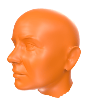 3D Rendering Of Human Bust png