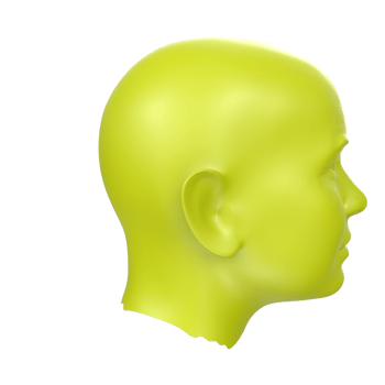 3D Rendering Of Human Bust png