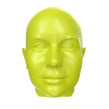 3D Rendering Of Human Bust png