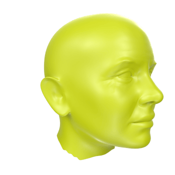 3D Rendering Of Human Bust png