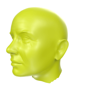 3D Rendering Of Human Bust png