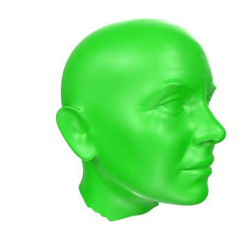 3D Rendering Of Human Bust png