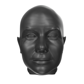 3D Rendering Of Human Bust png