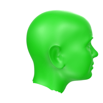 3D Rendering Of Human Bust png