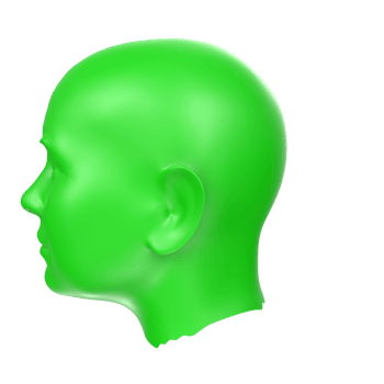 3D Rendering Of Human Bust png