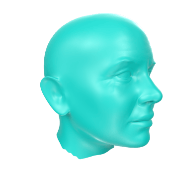 3D Rendering Of Human Bust png