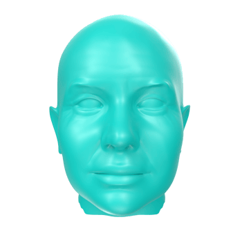 3D Rendering Of Human Bust png