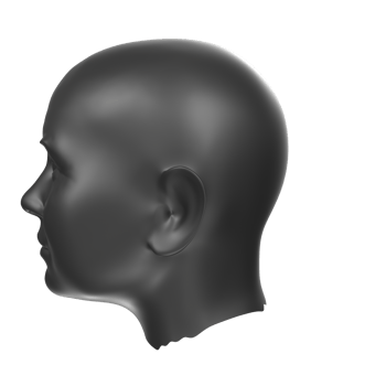 3D Rendering Of Human Bust png