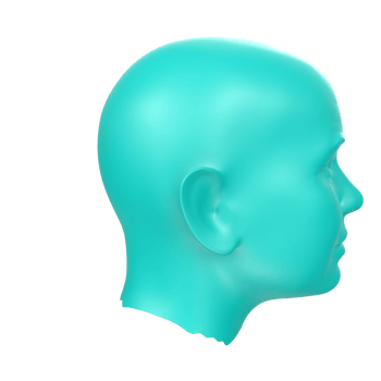 3D Rendering Of Human Bust png