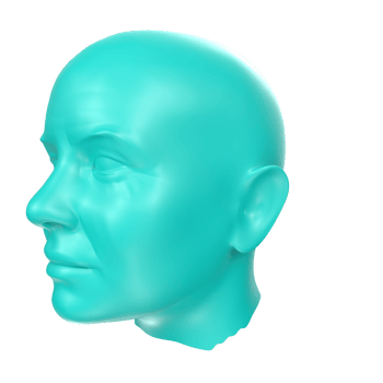 3D Rendering Of Human Bust png
