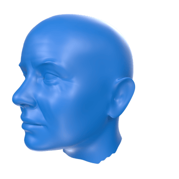 3D Rendering Of Human Bust png