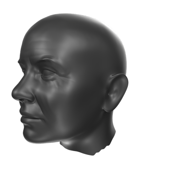3D Rendering Of Human Bust png