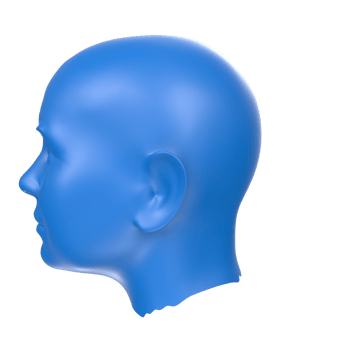 3D Rendering Of Human Bust png