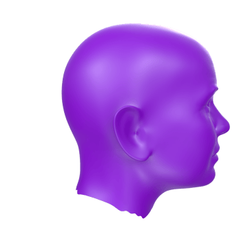 3D Rendering Of Human Bust png