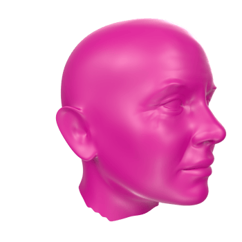 3D Rendering Of Human Bust png
