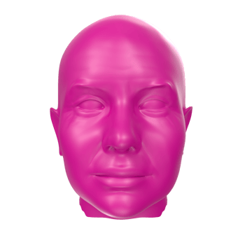 3D Rendering Of Human Bust png