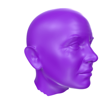3D Rendering Of Human Bust png