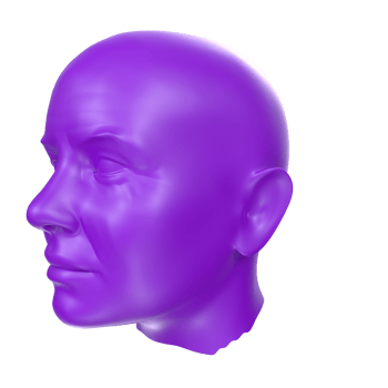 3D Rendering Of Human Bust png
