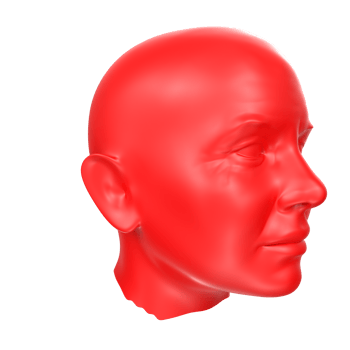 3D Rendering Of Human Bust png