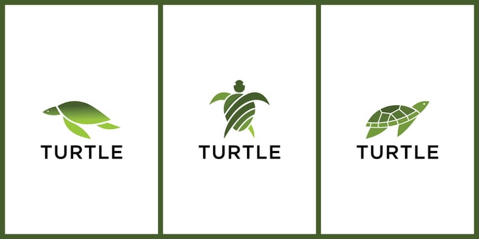 Turtle Gradient Colorful Style Vector Logo Illustration