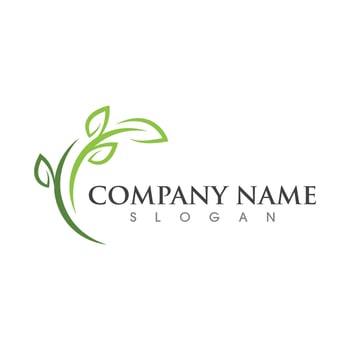Logos of green Tree leaf ecology vector