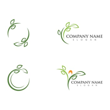 Logos of green Tree leaf ecology vector