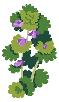 Shrubs of blooming flower, grass with foliage vector
