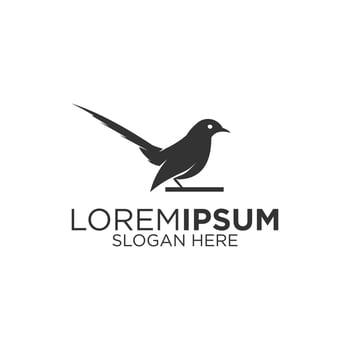 Silhouette magpie bird logo design vector