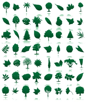 Set of trees. Vector illustration