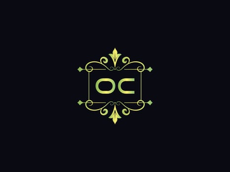 Typography Oc Luxury Logo, Colorful Oc Letter Logo Icon vector