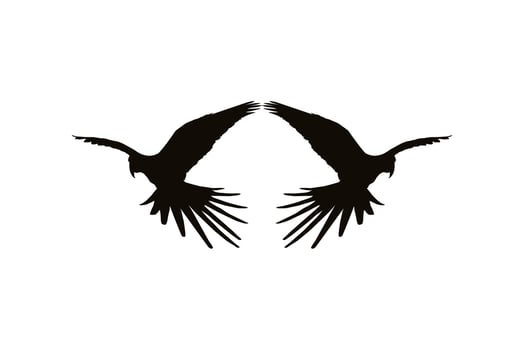 Flying Macaw Bird Silhouette for Logo, Pictogram, Art Illustration, Website or Graphic Design Element. Vector Illustration