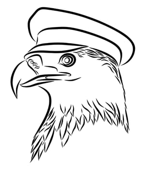 eagle head illustration vector
