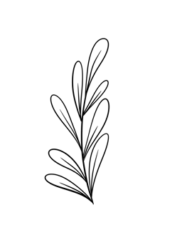 Leaf Line Art png