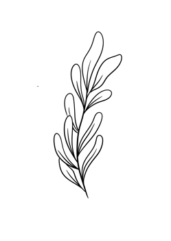 Leaf Line Art png