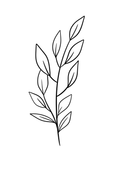 Leaf Line Art png