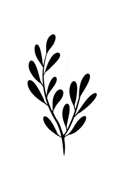 Leaf Line Art png