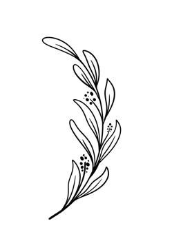 Leaf Line Art png