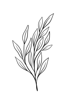Leaf Line Art png