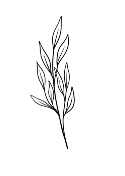 Leaf Line Art png