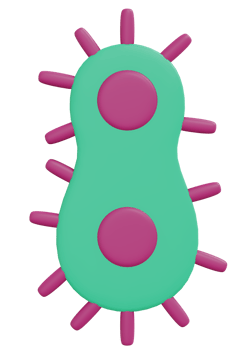 Bacteria icon cartoon style 3D render png