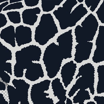 Black white snake skin pattern vector