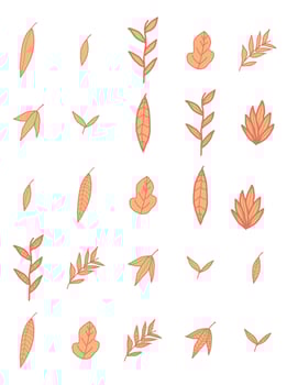 collection of vector illustrations of fall leaf