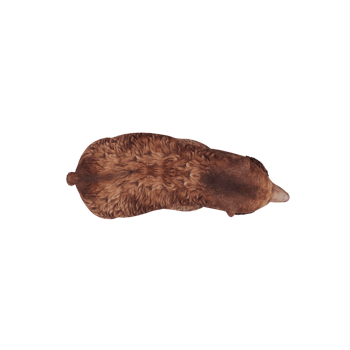3d Bear isolated png