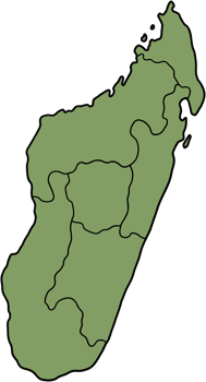 doodle freehand drawing of madagascar map. png