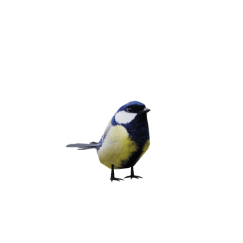 3d Great tit bird isolated png