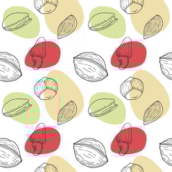 Seamless pattern with Nuts hand drawn doodle - walnut, hazelnut, almond and pistachio. Spots. White background. vector